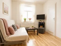 Pronájem bytu 1+kk, České Budějovice - České Budějovice 3, Lipenská, 21 m2