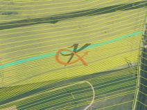 Prodej podílu 1/48 zemědělské půdy, Soběsuky, 3692 m2