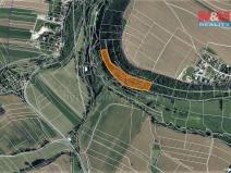 Prodej lesa, Skuteč, 14689 m2