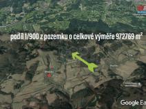 Prodej lesa, Březůvky, 1081 m2