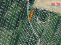 Prodej lesa, Nová Hradečná, 6647 m2