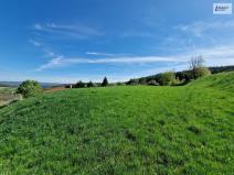 Prodej pozemku pro bydlení, Zduchovice, 2271 m2