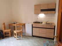 Pronájem bytu 1+kk, Jablonec nad Nisou, Květinová, 30 m2