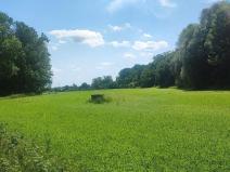 Prodej zahrady, Vyškov - Opatovice, 670 m2