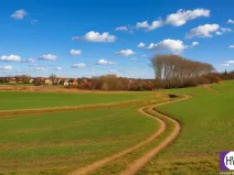 Prodej zemědělské půdy, Vodochody, Hoštice, 7272 m2