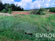 Prodej pozemku pro bydlení, Týnec nad Sázavou, 2475 m2
