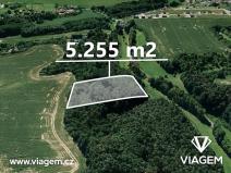 Prodej lesa, Branžež, 5255 m2