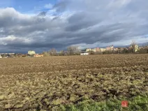 Prodej pole, Žatec, 122418 m2