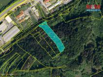 Prodej lesa, Vsetín - Rokytnice, 4785 m2