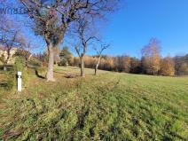 Prodej louky, Železný Brod - Bzí, 6834 m2