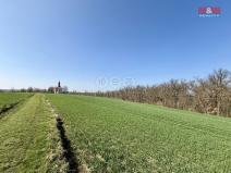 Prodej pole, Číčovice, 1598 m2