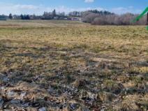 Prodej pole, Halže, 192062 m2