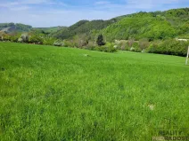 Prodej pozemku, Rusava, 3304 m2