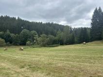 Dražba pozemku, Toužim, 791 m2