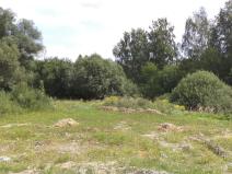 Dražba louky, České Velenice, 13780 m2