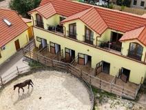 Pronájem zemědělského objektu, Příbram - Jerusalem, 75000 m2