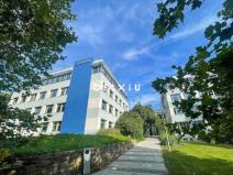 Pronájem kanceláře, Brno - Horní Heršpice, Bohunická, 35 m2