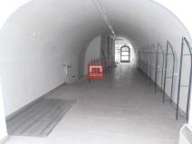 Pronájem obchodního prostoru, Olomouc, Denisova, 130 m2