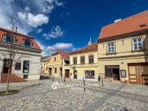 Prodej rodinného domu, Znojmo, Horní Česká, 300 m2