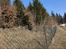 Prodej pozemku, Červená Voda, 463 m2
