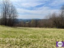 Pronájem pozemku pro bydlení, Velké Hamry, 4241 m2