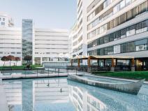 Pronájem obchodního prostoru, Brno - Staré Brno, Nové sady, 520 m2