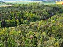 Prodej lesa, Černýšovice, 79857 m2