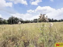 Prodej pozemku pro bydlení, Sebranice, 2000 m2