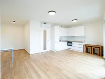 Pronájem bytu 1+kk, Praha - Žižkov, Basilejské náměstí, 42 m2
