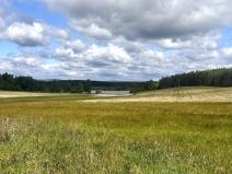 Prodej pole, Tisová - Kumpolec, 220644 m2