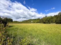 Prodej pole, Kočov - Ústí, 46428 m2