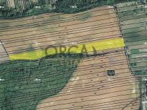 Prodej pole, Syrovín, 5796 m2