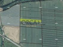 Prodej podílu pole, Hustopeče nad Bečvou, 1685 m2