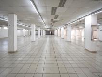Pronájem obchodního prostoru, Plzeň - Lobzy, Sousedská, 1250 m2