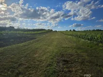 Prodej pozemku pro bydlení, Starý Poddvorov, 814 m2