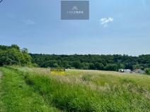 Prodej pozemku pro bydlení, Bílovec, 19605 m2