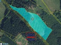 Prodej lesa, Svojek - Tample, 10149 m2