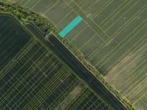 Prodej pole, Loukov, 15417 m2