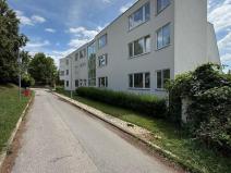 Prodej bytu 2+kk, Brno - Pisárky, Vinařská, 147 m2