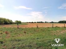 Prodej podílu pole, Praha - Cholupice, 608 m2