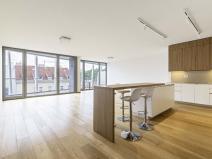 Pronájem bytu 4+kk, Praha - Smíchov, Holečkova, 196 m2