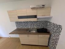 Pronájem bytu 1+kk, Kadaň, Na Podlesí, 21 m2