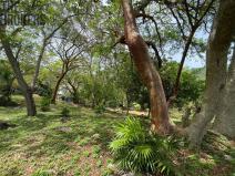 Prodej pozemku, Coxen Hole, Roatán, Honduras, 1821 m2