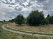 Pronájem pozemku, Ondřejov, 3382 m2