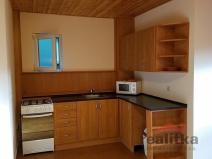 Pronájem bytu 2+kk, Opava - Předměstí, třída Spojenců, 50 m2