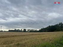 Prodej lesa, Tři Dvory, 4321 m2