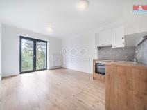 Pronájem bytu 1+kk, Třemošná, Školní, 32 m2