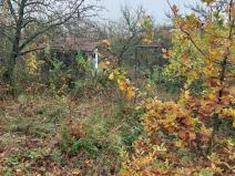 Pronájem zahrady, Samotišky, 380 m2