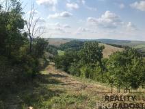 Prodej zahrady, Kobeřice u Brna, 2052 m2