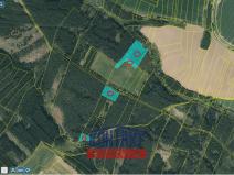 Prodej lesa, Bečice, 23812 m2